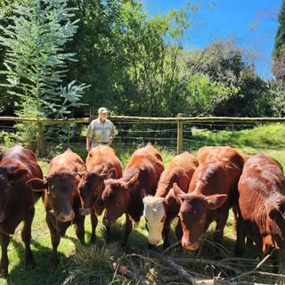 Profile Picture of John (@johnmichaux1) on Instagram