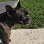 Profile Picture of Daniela Garofolo (@danigarofolo21) on Instagram