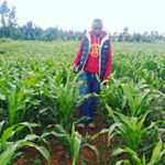 Profile Picture of Moses Gitau (@moses_gitau_0722445166) on Instagram