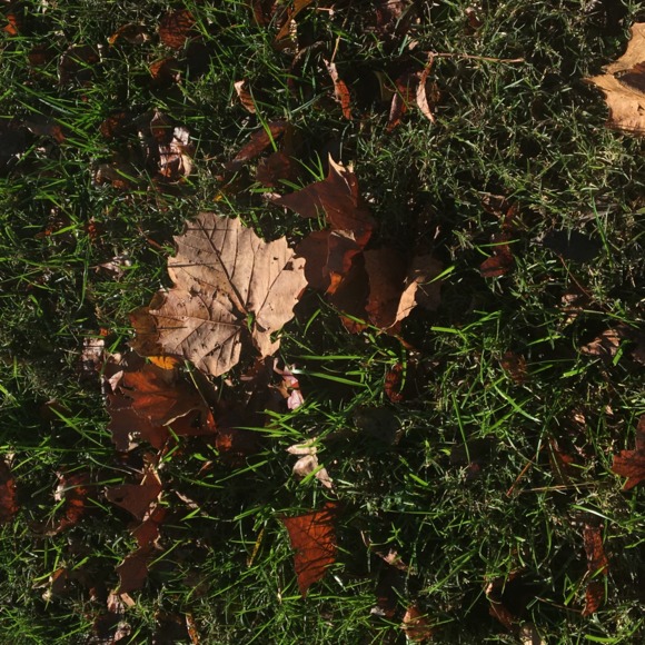 Profile Picture of Doris Kennedy (@carlisle88) on Poshmark