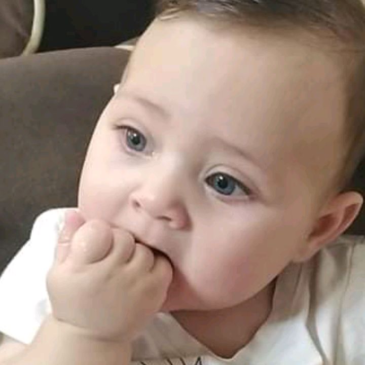 Profile Picture of omar.bataineh (@.omar.bataineh) on Tiktok