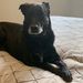 Profile Picture of Sammy (@Samski131) on Pinterest