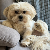 Profile Picture of Kayla Vincik (@KaylaVincik) on Youtube