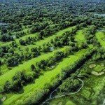 Profile Picture of raynell (@59bymarileech) on Instagram