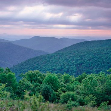 Profile Picture of Lynn Evans  ⭐ Biden & Harris 2020  ⭐ (@LynnDee227) on Twitter