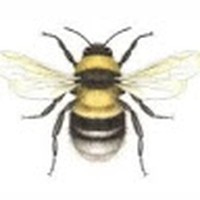 Profile Picture of Paula Cornelio (@paula-cornelio) on Quora