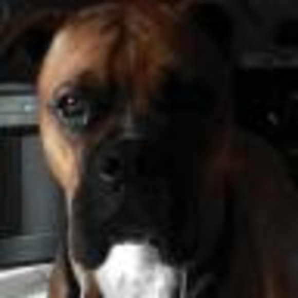 Profile Picture of Christian Dobles (@christian2278) on Poshmark