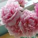 Profile Picture of Ruby Knight (@rubyknight) on Pinterest