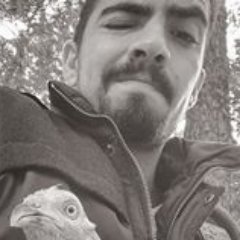 Profile Picture of Jose Daniel Herbert Gonzalez (@JoseDanielHerb2) on Twitter