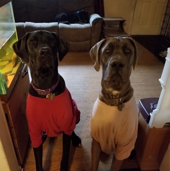 Profile Picture of Nicole Reitz veiders (@blondebombny) on Poshmark