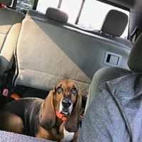 Donnie Chandler - Quora Profile Picture of Donnie Chandler (@donnie-chandler-3) on Quora