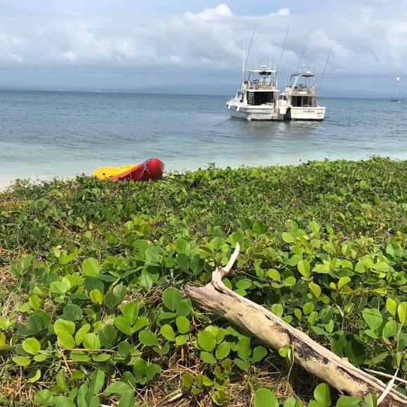 Profile Picture of Peta-gaye Vassell (@plynvassell) on Poshmark