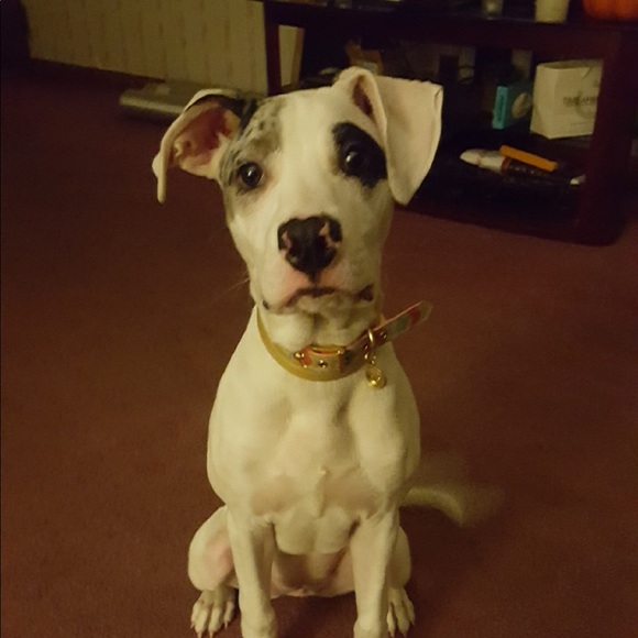 Profile Picture of Lucas Naussner (@lucas_98) on Poshmark