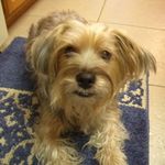 Profile Picture of David Jared Craft (@drdavidcraft) on Instagram