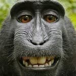 Profile Picture of Mitch Wagner (@mitchwagner) on Instagram