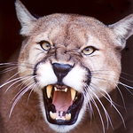 Isaiah M - Flickr Profile Picture of Isaiah M (@isaiah m) on Flickr