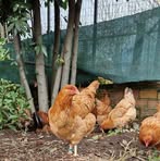 Profile Picture of Finca Ansariz (@Finca-Ansariz) on Facebook