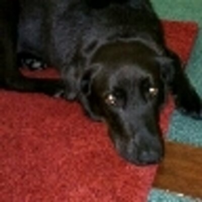 Profile Picture of Ashleigh Irving (@Ashleigh506) on Twitter