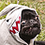 Profile Picture of Adriane (@kismet_70) on Flickr