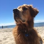 Profile Picture of Octavio Arbeitsschutz (@carola.dirks) on Instagram