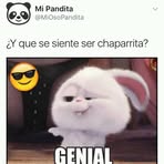 Profile Picture of Lilian Delg (@lilian.delg.5) on Facebook