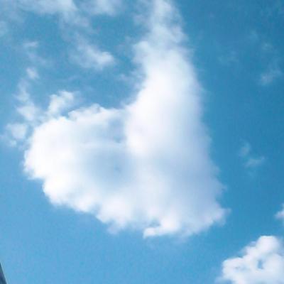 Profile Picture of Ana Berta Lora Solan (@7246Anna) on Twitter