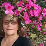 Profile Picture of Alice Verônica Mohr (@alicemohr20) on Instagram