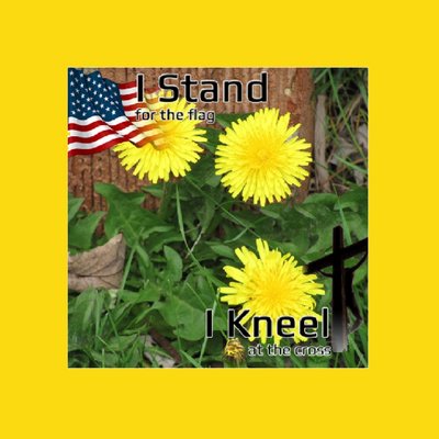 Profile Picture of Jacqueline Driggers (@tkfuzzkid) on Twitter