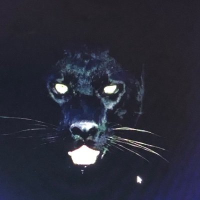 Profile Picture of Tony McElroy (@TonyMcElroy5) on Twitter
