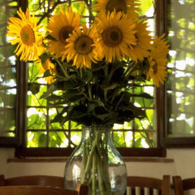 Profile Picture of Pat McMillen (@patamc1962) on Twitter