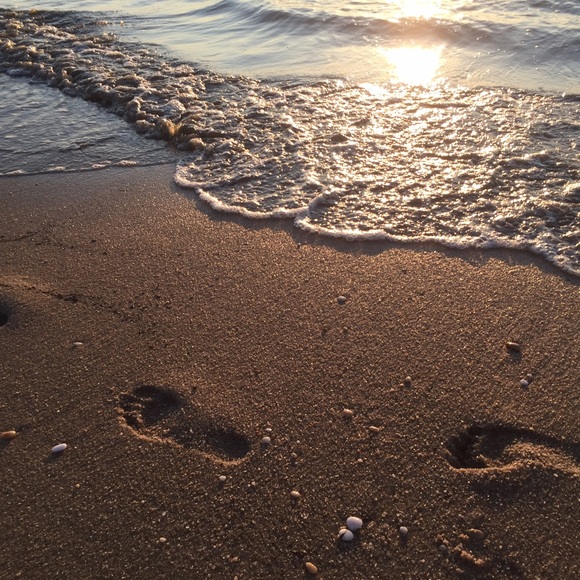 Profile Picture of Ashley Pechin (@ashleyypechin) on Poshmark