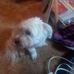 Profile Picture of Mitchell Bauer (@mitchell.bauer.92) on Facebook