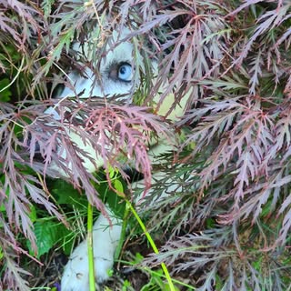 Profile Picture of Janet ❤ (@_janet_keller_) on Instagram