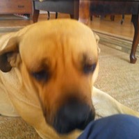 Profile Picture of Steven Paulsen (@steven-paulsen) on Quora