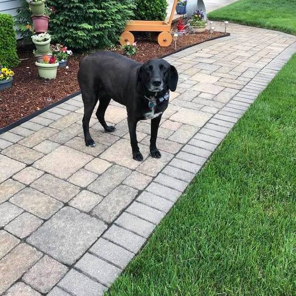 Profile Picture of Paulette Obrien (@pauletteobrien) on Poshmark