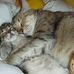 Profile Picture of Kevin Kutcher (@kevin.kutcher.52) on Facebook