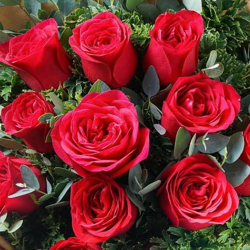 Profile Picture of ronskironski (@ronskironski) on Tiktok