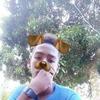 Profile Picture of La Fama$11 (@@abelalcantara11) on Tiktok