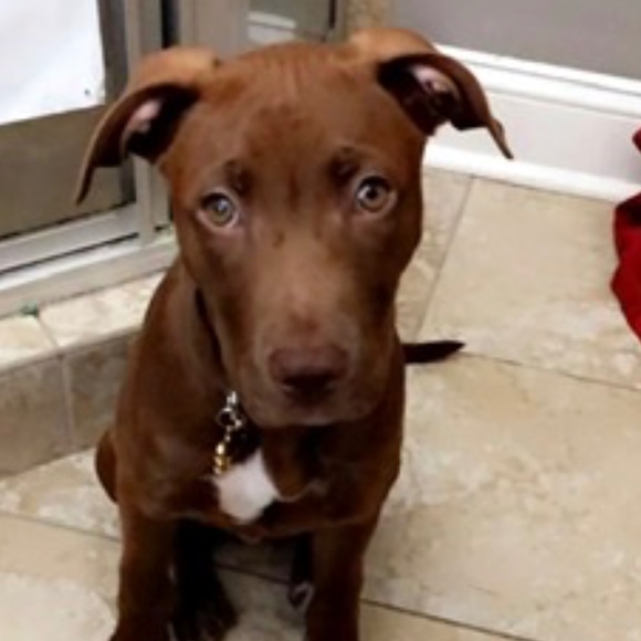 Profile Picture of Samuel Roane (@guyguyguyq) on Poshmark