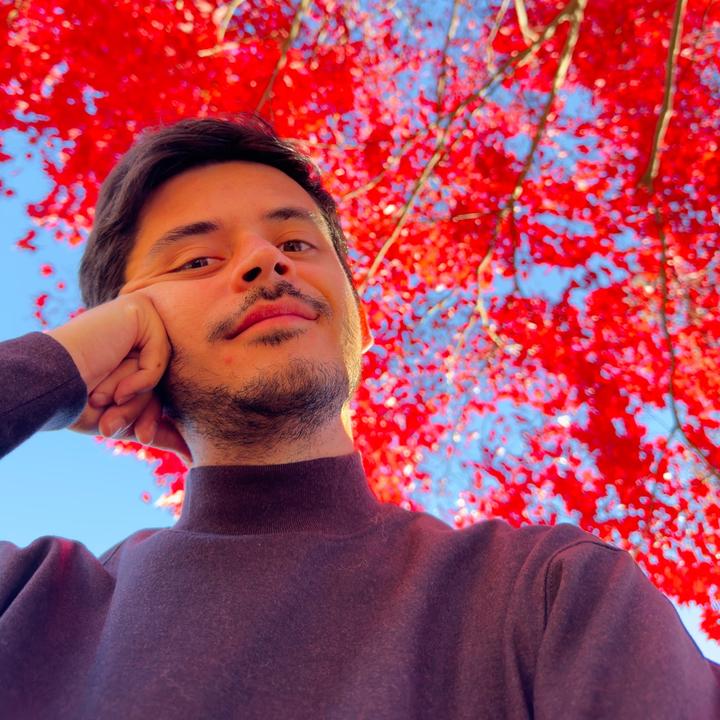 Profile Picture of   Dylan O'Brien et moi| |... (@noholito) on Tiktok