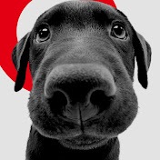 Headman - Youtube Profile Picture of Headman (@Eagle487) on Youtube