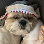 Profile Picture of Kevin Marriner (@kevin.marriner.353) on Facebook