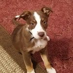 Profile Picture of Mike Gourley (@mike.gourley.161) on Instagram