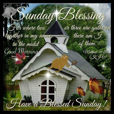 Profile Picture of Benjamin Florian (@BenjaminFloria3) on Twitter