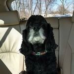Profile Picture of Barbara Acker (@barbacker2) on Instagram
