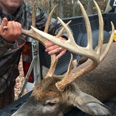 Profile Picture of Mike Zello (@ZelloMike) on Twitter