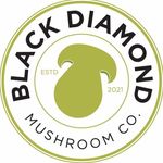 Profile Picture of Joe Giovannetti (@blackdiamondmushroomco) on Instagram
