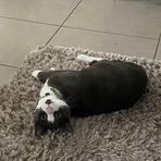 Profile Picture of Ruby Elkins (@Ruby-Elkins) on Facebook