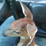 Profile Picture of Christopher Box (@christopher.box.7549) on Instagram