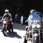 Profile Picture of Jim Buschkens (@buschicken) on Instagram